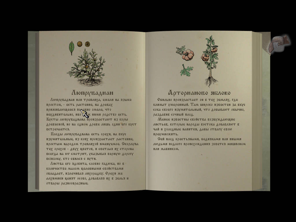 Герой - Страница из книги о травах (уровень 2)